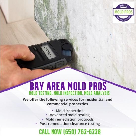 Air Quality Testing, Mold Inspection Services